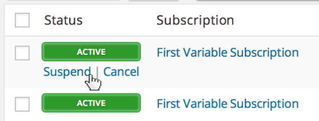 WooCommerce Subscriptions Plugin Management